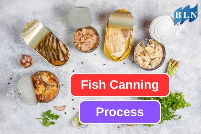 Fish Canning Process to Preserving Fish